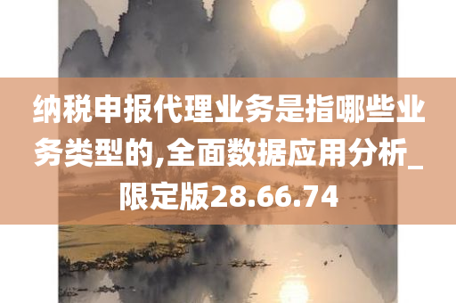 纳税申报代理业务是指哪些业务类型的,全面数据应用分析_限定版28.66.74