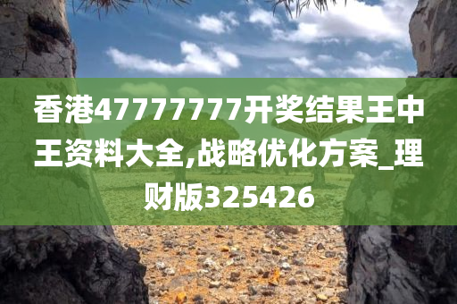 香港47777777开奖结果王中王资料大全,战略优化方案_理财版325426