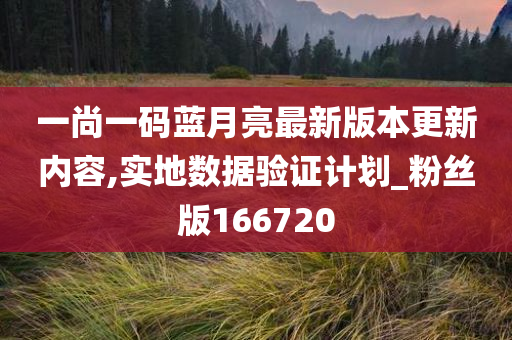 一尚一码蓝月亮最新版本更新内容,实地数据验证计划_粉丝版166720