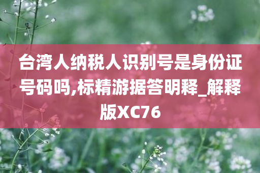 台湾人纳税人识别号是身份证号码吗,标精游据答明释_解释版XC76