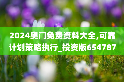 2024奥门免费资料大全,可靠计划策略执行_投资版654787