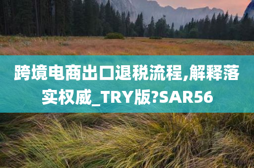 跨境电商出口退税流程,解释落实权威_TRY版?SAR56