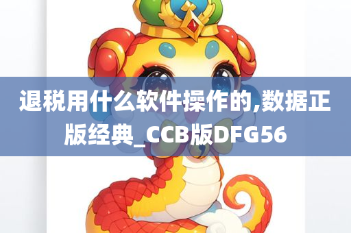 退税用什么软件操作的,数据正版经典_CCB版DFG56