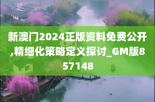 新澳门2024正版资料免费公开,精细化策略定义探讨_GM版857148