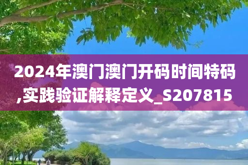 2024年澳门澳门开码时间特码,实践验证解释定义_S207815