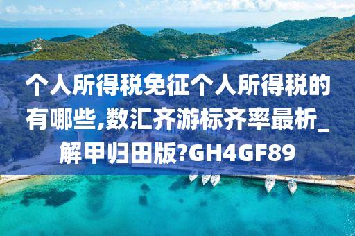 个人所得税免征个人所得税的有哪些,数汇齐游标齐率最析_解甲归田版?GH4GF89