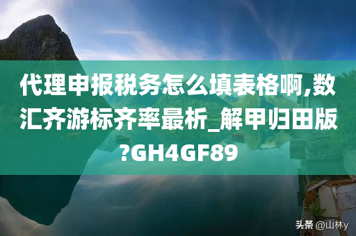 代理申报税务怎么填表格啊,数汇齐游标齐率最析_解甲归田版?GH4GF89