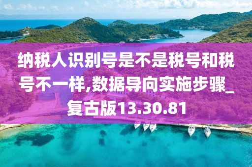 纳税人识别号是不是税号和税号不一样,数据导向实施步骤_复古版13.30.81