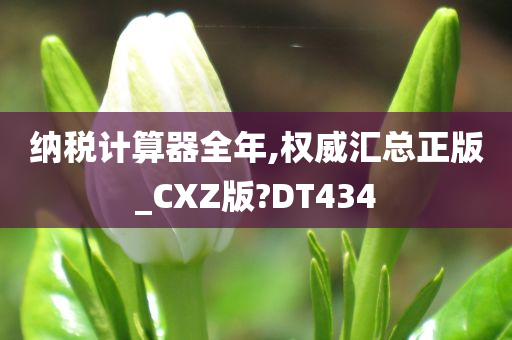 纳税计算器全年,权威汇总正版_CXZ版?DT434