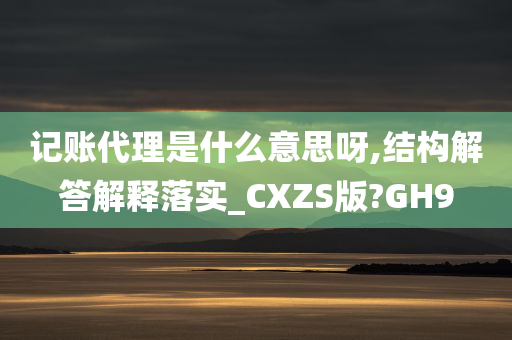 记账代理是什么意思呀,结构解答解释落实_CXZS版?GH9