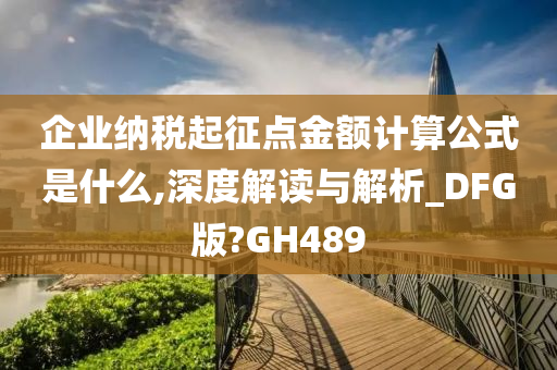 企业纳税起征点金额计算公式是什么,深度解读与解析_DFG版?GH489