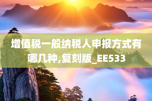 增值税一般纳税人申报方式有哪几种,复刻版_EE533