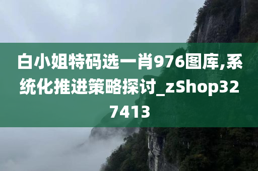 白小姐特码选一肖976图库,系统化推进策略探讨_zShop327413