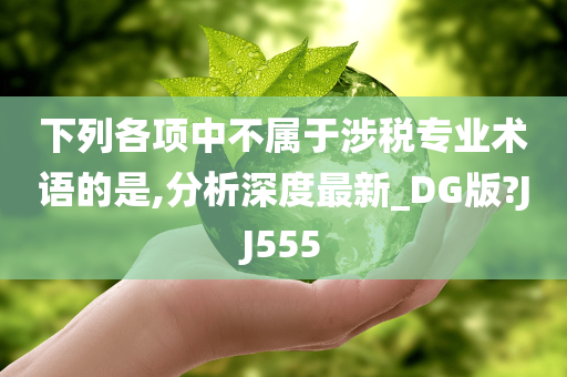 下列各项中不属于涉税专业术语的是,分析深度最新_DG版?JJ555