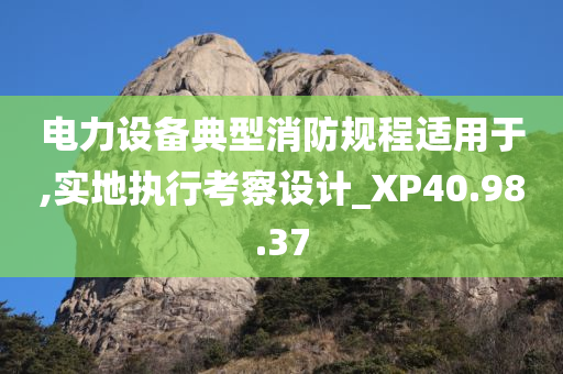 电力设备典型消防规程适用于,实地执行考察设计_XP40.98.37