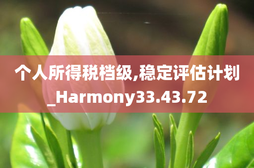 个人所得税档级,稳定评估计划_Harmony33.43.72