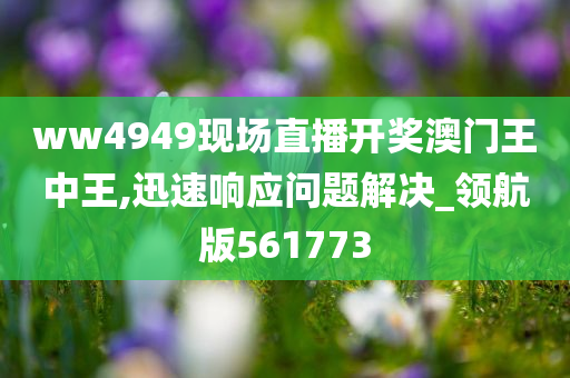 ww4949现场直播开奖澳门王中王,迅速响应问题解决_领航版561773