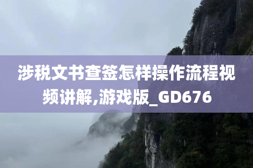 涉税文书查签怎样操作流程视频讲解,游戏版_GD676