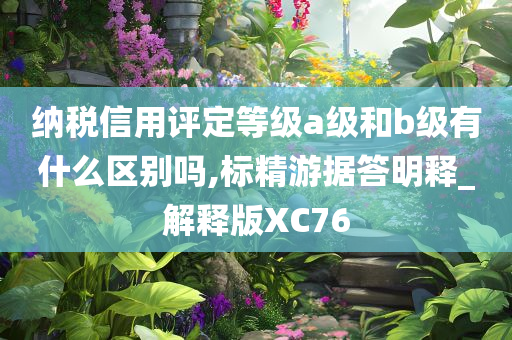 纳税信用评定等级a级和b级有什么区别吗,标精游据答明释_解释版XC76