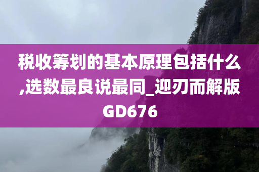 税收筹划的基本原理包括什么,选数最良说最同_迎刃而解版GD676