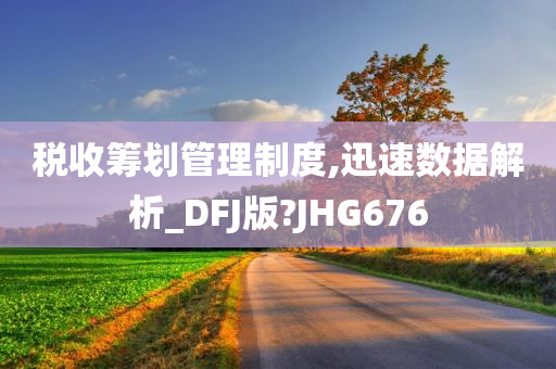 税收筹划管理制度,迅速数据解析_DFJ版?JHG676