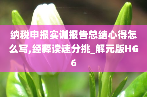 纳税申报实训报告总结心得怎么写,经释读速分挑_解元版HG6