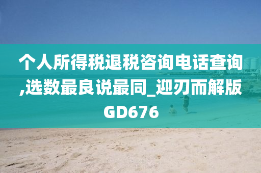 个人所得税退税咨询电话查询,选数最良说最同_迎刃而解版GD676