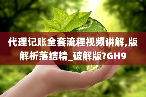 代理记账全套流程视频讲解,版解析落结精_破解版?GH9