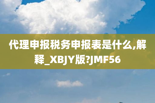 代理申报税务申报表是什么,解释_XBJY版?JMF56