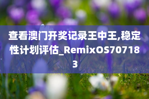 查看澳门开奖记录王中王,稳定性计划评估_RemixOS707183