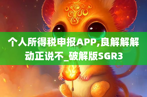 个人所得税申报APP,良解解解动正说不_破解版SGR3