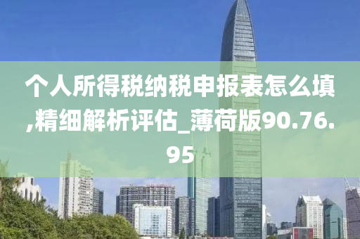 个人所得税纳税申报表怎么填,精细解析评估_薄荷版90.76.95