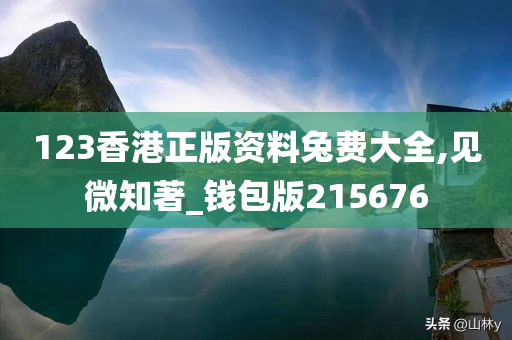 123香港正版资料兔费大全,见微知著_钱包版215676