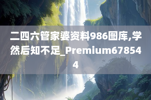 二四六管家婆资料986图库,学然后知不足_Premium678544