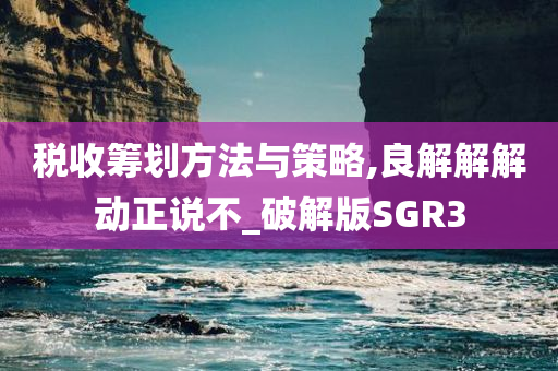 税收筹划方法与策略,良解解解动正说不_破解版SGR3