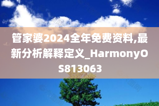 管家婆2024全年免费资料,最新分析解释定义_HarmonyOS813063