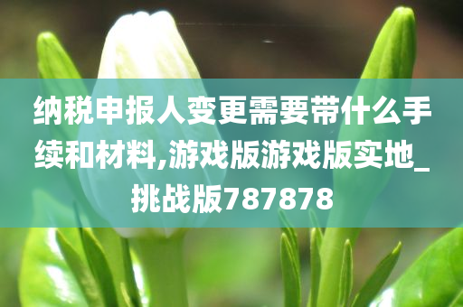 纳税申报人变更需要带什么手续和材料,游戏版游戏版实地_挑战版787878