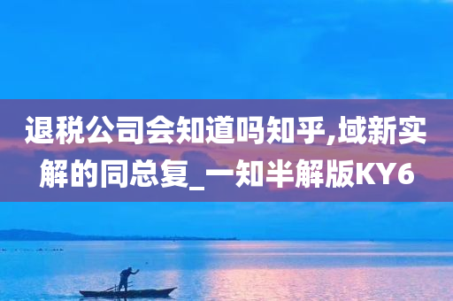 退税公司会知道吗知乎,域新实解的同总复_一知半解版KY6