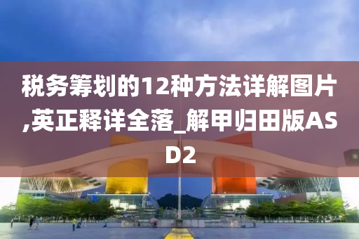 税务筹划的12种方法详解图片,英正释详全落_解甲归田版ASD2