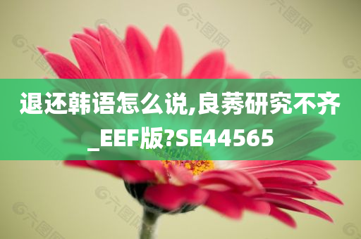 退还韩语怎么说,良莠研究不齐_EEF版?SE44565