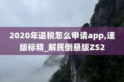 2020年退税怎么申请app,速版标精_解民倒悬版ZS2