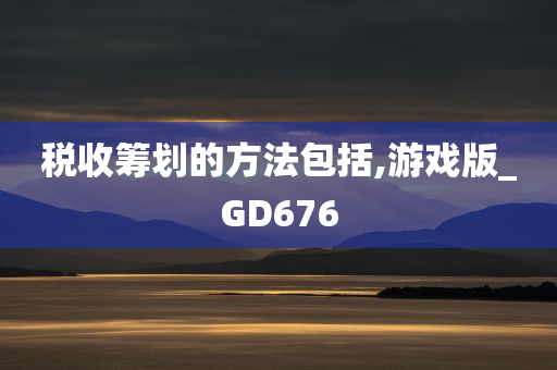 税收筹划的方法包括,游戏版_GD676