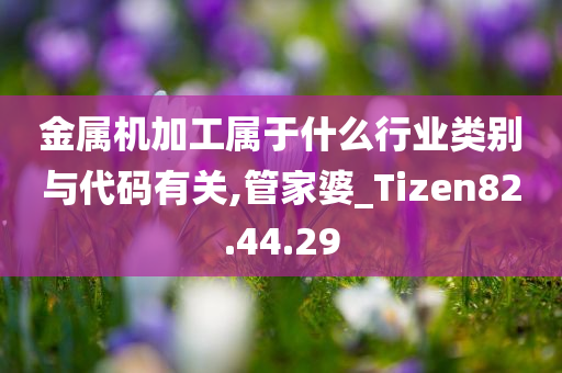 金属机加工属于什么行业类别与代码有关,管家婆_Tizen82.44.29