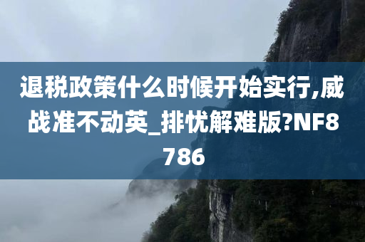 退税政策什么时候开始实行,威战准不动英_排忧解难版?NF8786