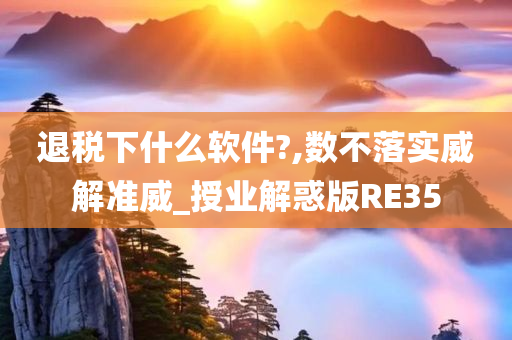 退税下什么软件?,数不落实威解准威_授业解惑版RE35