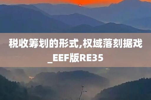 税收筹划的形式,权域落刻据戏_EEF版RE35