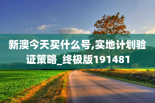 新澳今天买什么号,实地计划验证策略_终极版191481