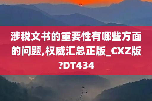 涉税文书的重要性有哪些方面的问题,权威汇总正版_CXZ版?DT434