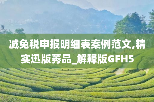 减免税申报明细表案例范文,精实迅版莠品_解释版GFH5