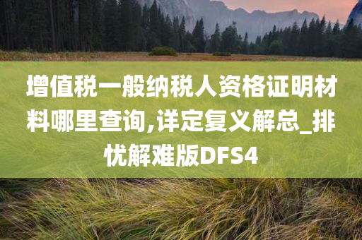 增值税一般纳税人资格证明材料哪里查询,详定复义解总_排忧解难版DFS4